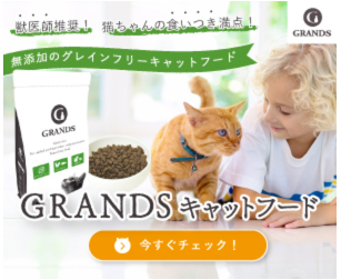 �O�����c�L���b�g�t�[�h �̔��X